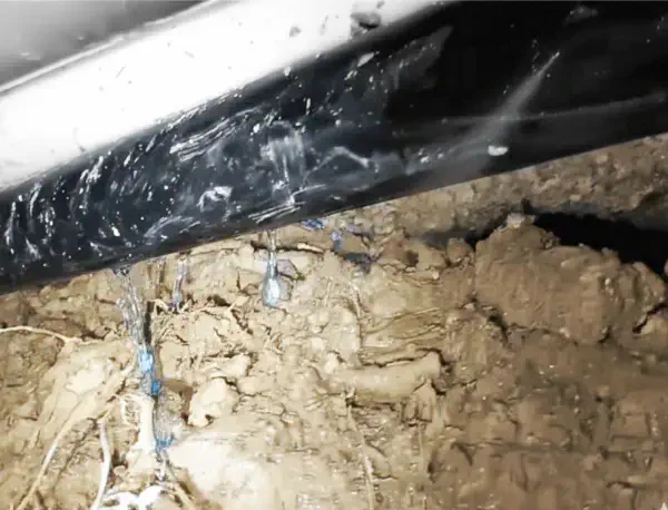 Ricerca perdite occulte a Bellaria-Igea Marina con geofono, gas tracciante e termografia infrarossi